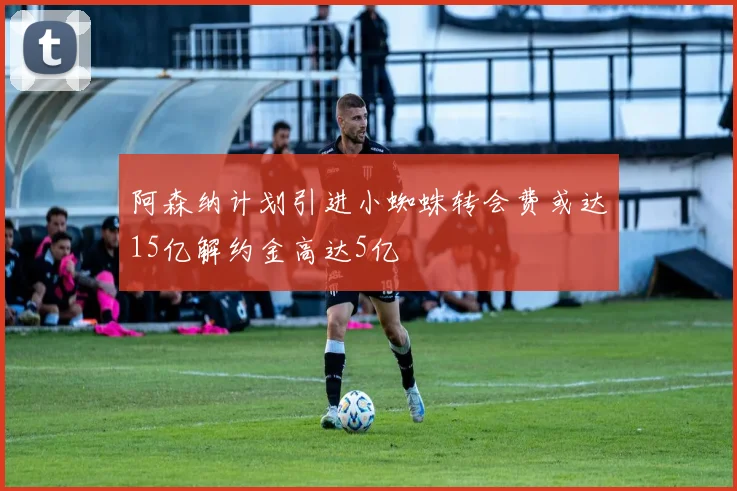 阿森纳计划引进小蜘蛛转会费或达15亿解约金高达5亿