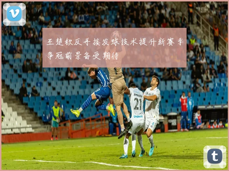 王楚钦反手接发球技术提升新赛季争冠前景备受期待